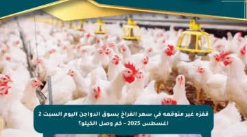 قفزة غير متوقعة في سعر الفراخ بسوق الدواجن اليوم السبت 2 أغسطس 2025 – كم وصل الكيلو؟